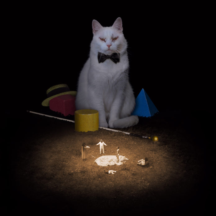 Foto: Johannes Nyholm
